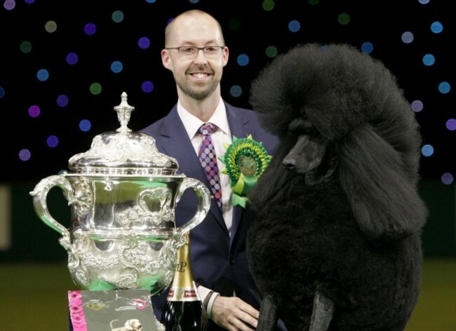 Crufts 2014