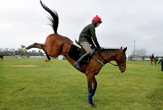 Paul Townend on Wicklow Brave 10/3/2014