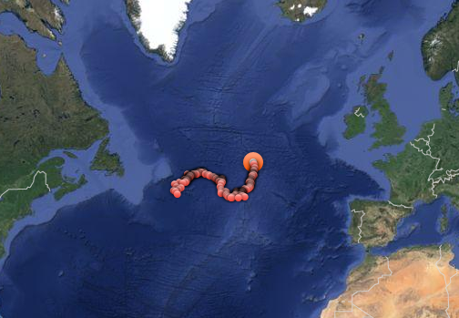 This great white shark is heading for Ireland · The Daily Edge