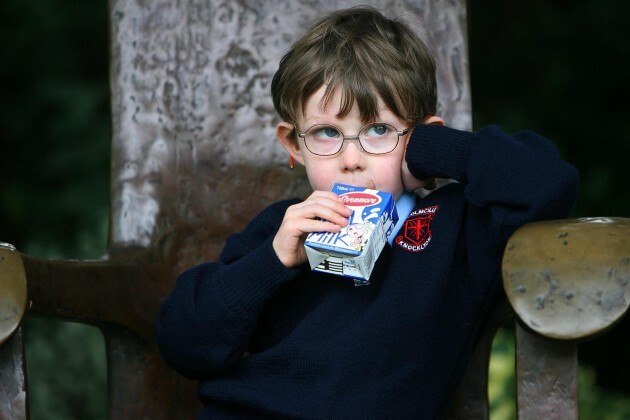 Ireland launches school milk scheme