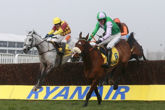 Horse Racing - 2014 Cheltenham Festival -  St Patrick's Day - Cheltenham Racecourse