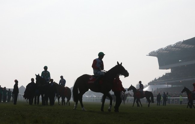 Horse Racing - 2014 Cheltenham Festival - St Patrick's Day - Cheltenham Racecourse