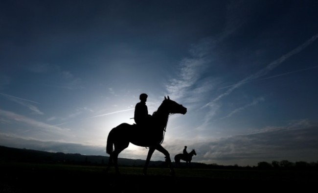 Horse Racing - 2014 Cheltenham Festival - Preview Day - Cheltenham Racecourse