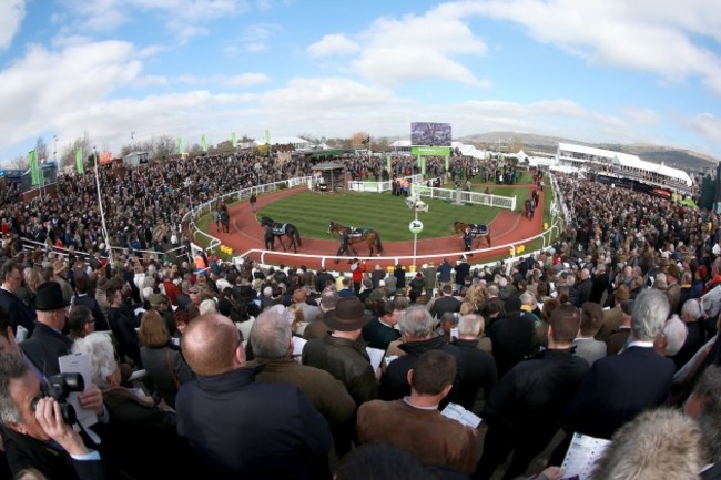 Horse Racing - 2014 Cheltenham Festival - Champion Day - Cheltenham Racecourse