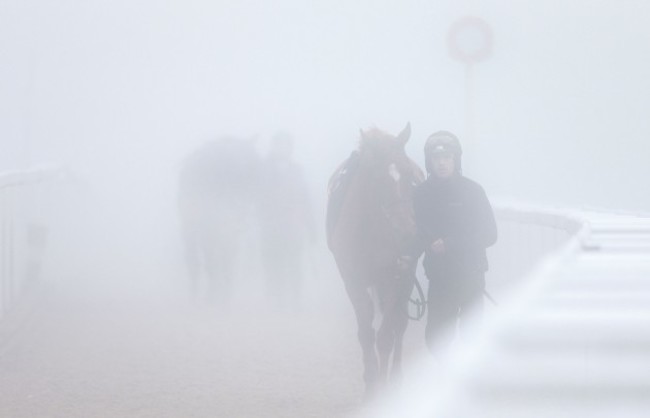 Horse Racing - 2014 Cheltenham Festival - St Patrick's Day - Cheltenham Racecourse