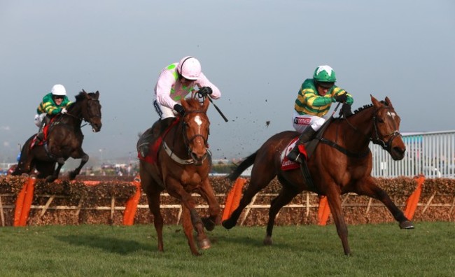 Horse Racing - 2014 Cheltenham Festival - St Patrick's Day - Cheltenham Racecourse