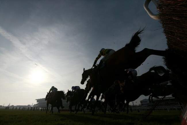 Horse Racing - 2014 Cheltenham Festival - St Patrick's Day - Cheltenham Racecourse