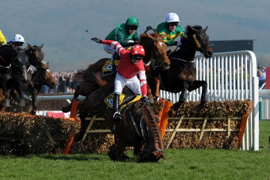 Horse Racing - 2014 Cheltenham Festival - Cheltenham Gold Cup Day - Cheltenham Racecourse