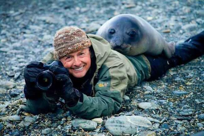 And then suddenly....SEAL! - Imgur