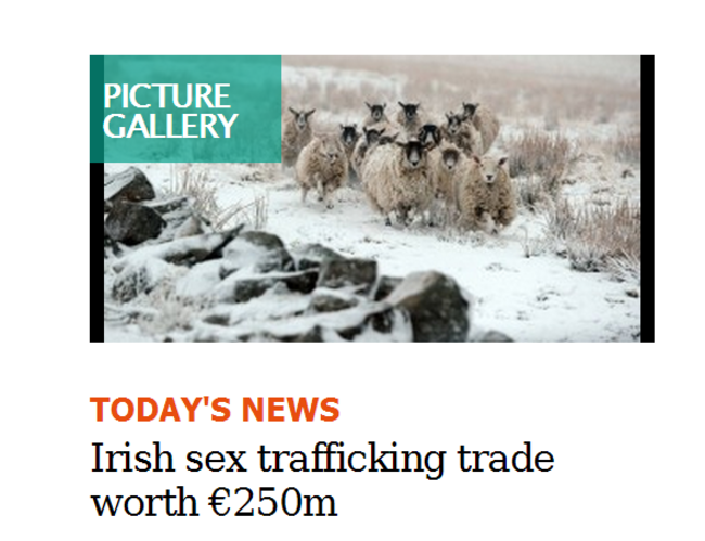 SexTraffickingSheep