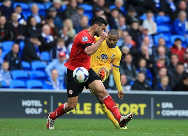 Soccer - Barclays Premier League - Cardiff City v Crystal Palace - Cardiff City Stadium