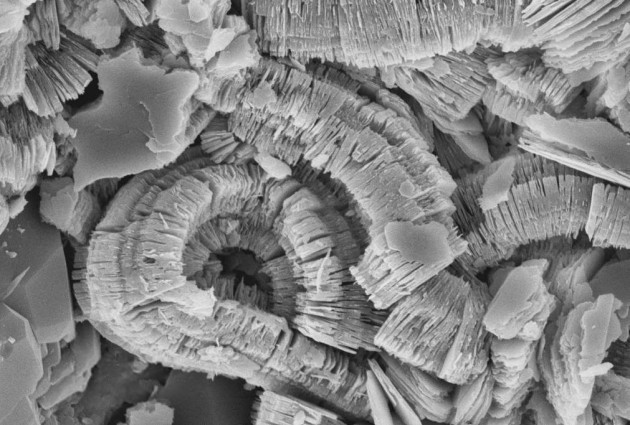 Microscopic image of clay - Imgur