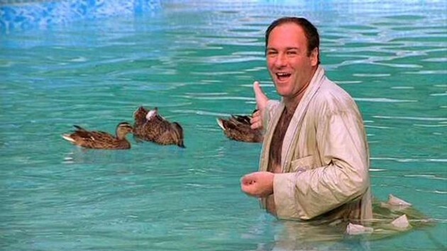 tony-and-the-ducks