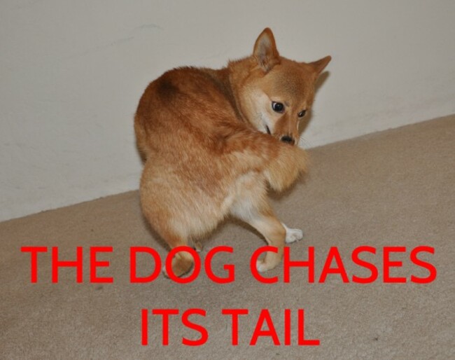 shibetail