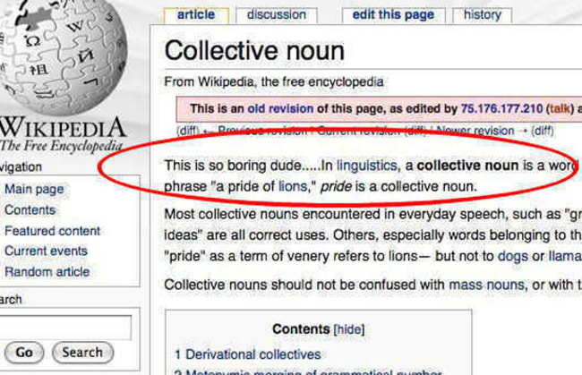 collectivenoun_521239