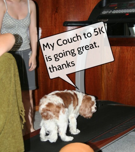 couchto5k