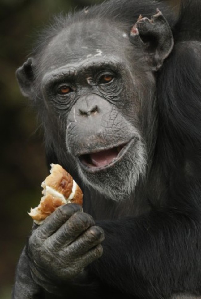 Easter at Blair Drummond Safari Park