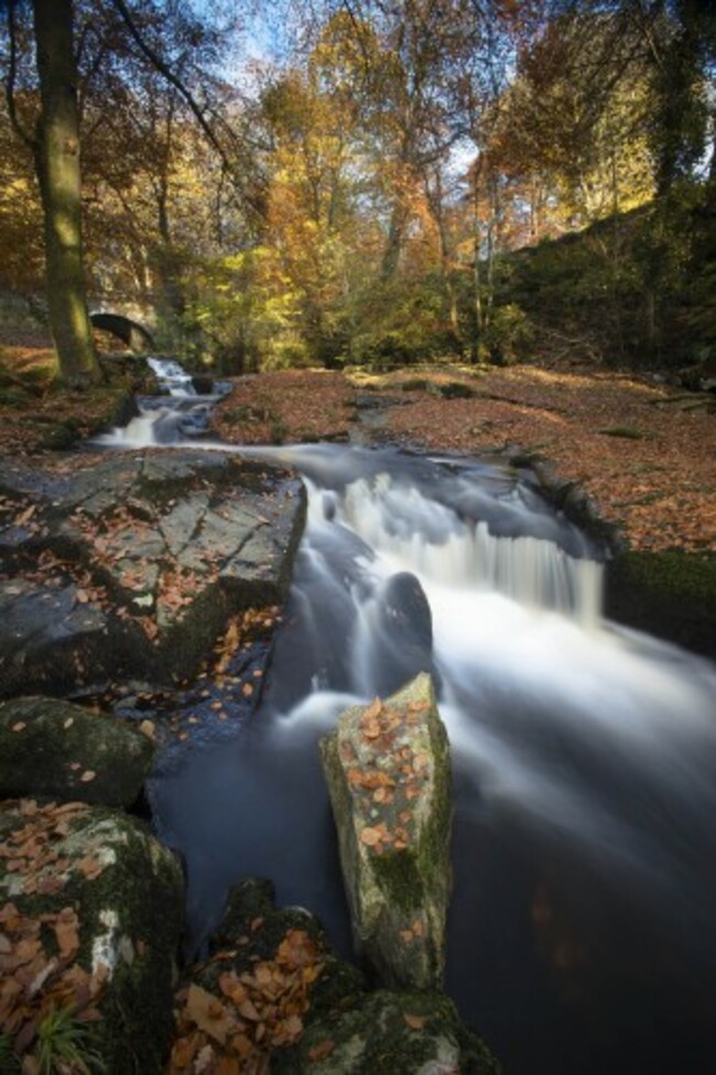 p159 Autumn at Cloghleagh Bridge
