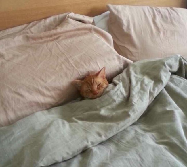 He tucked himself in. - Imgur