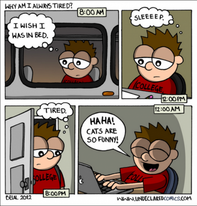 bed