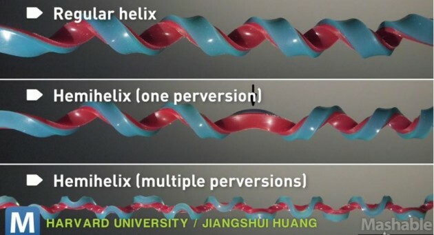 Harvard scientists have found a new shape - it's in your phone cord