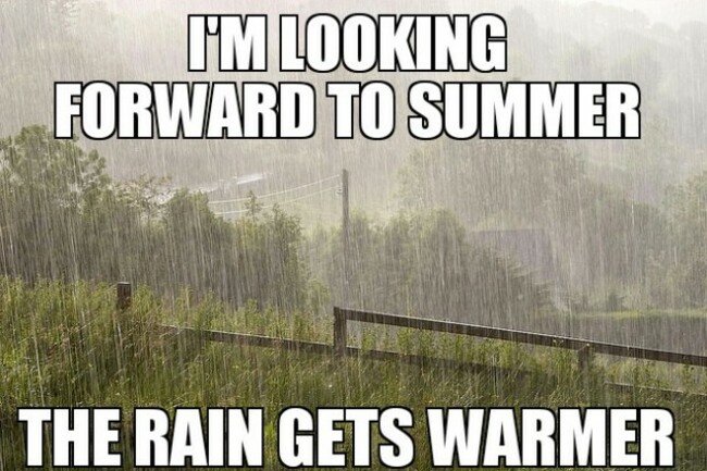 Summer in Ireland. - Imgur