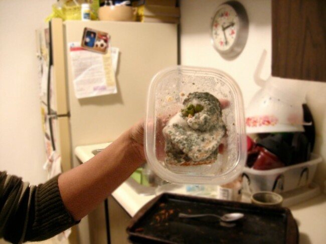 mold...45