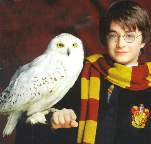 Harry-Potter-Hedwig