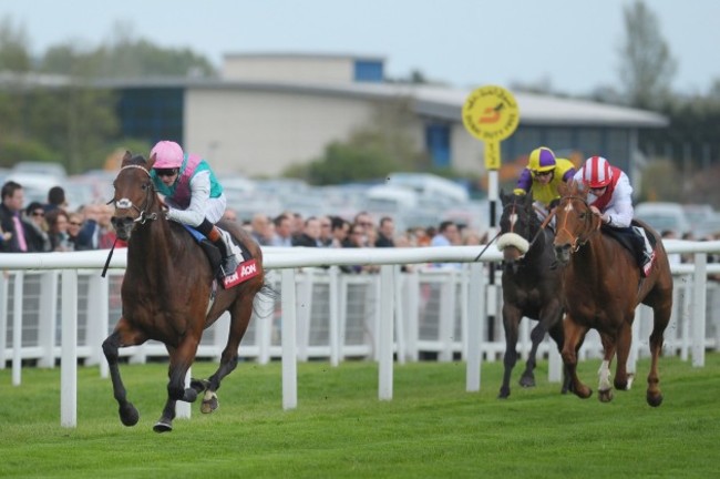 Horse Racing - Dubai Duty Free Weekend Day Two - Newbury