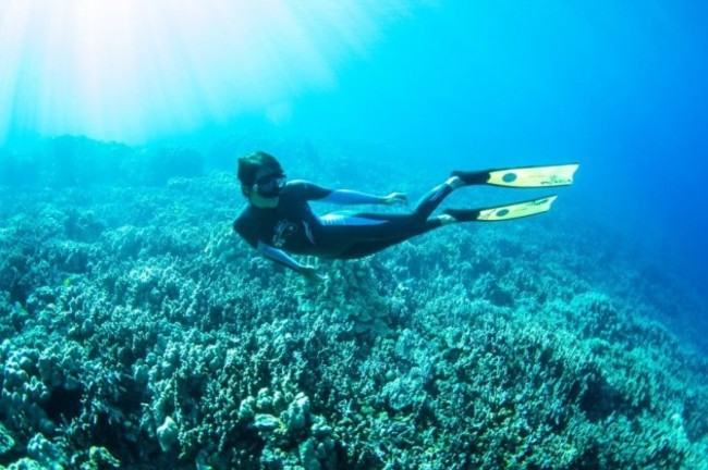 niki reef hawaii