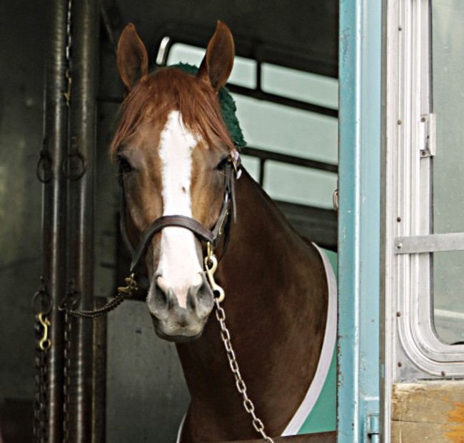 Kentucky Derby Horse Racing