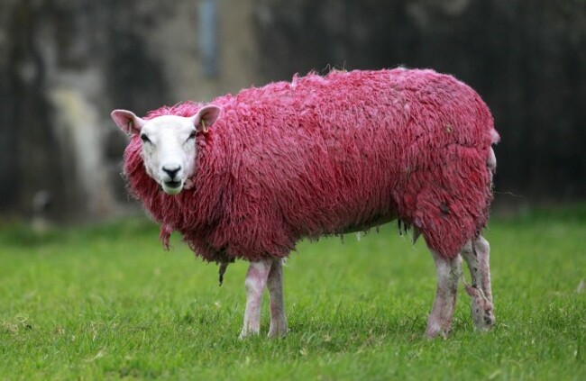 Britain Northern Ireland Giro d' Italia