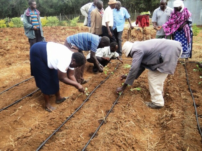 Training on our farm