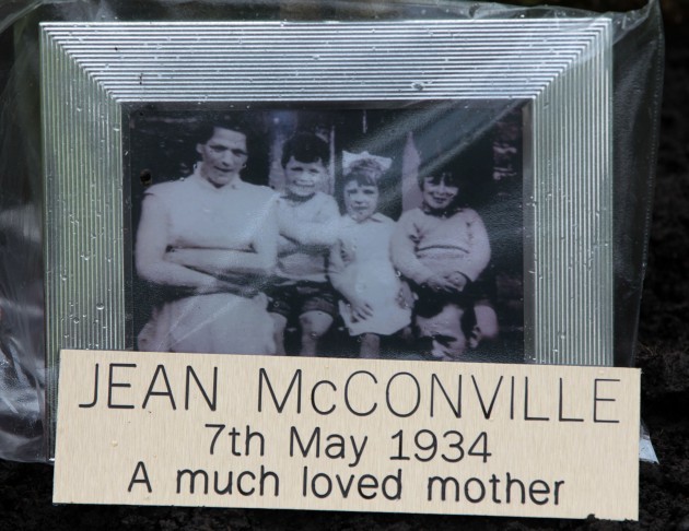 Jean McConville tree tribute