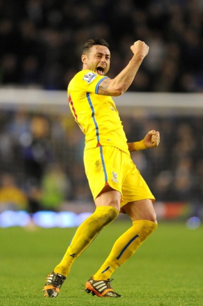 Soccer - Barclays Premier League - Everton v Crystal Palace - Goodison Park