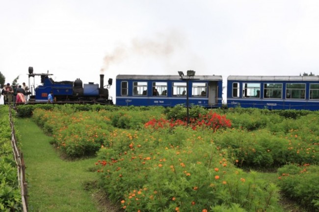 the-darjeeling-himalayan-railway-is-known-as-the-toy-train-and-travels-from-new-jalpaiguri-at-an-elevation-of-328-feet-to-darjeeling-at-7218-feet