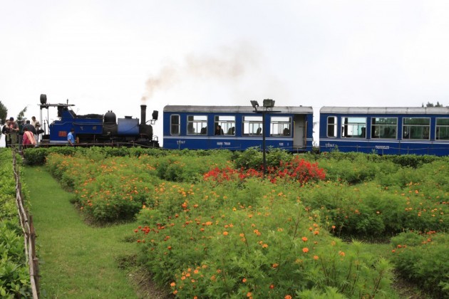 the-darjeeling-himalayan-railway-is-known-as-the-toy-train-and-travels-from-new-jalpaiguri-at-an-elevation-of-328-feet-to-darjeeling-at-7218-feet