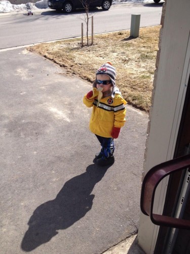 This is Carter. He knocked on my door to ask if he could have a banana then left. - Imgur