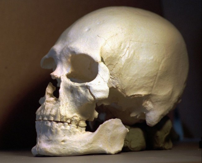 KENNEWICK MAN