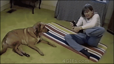 smartass - Imgur