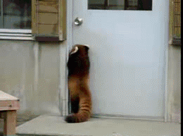 LET ME IN! - Imgur