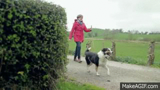 http---makeagif.com--media-5-16-2014-NWuY1I