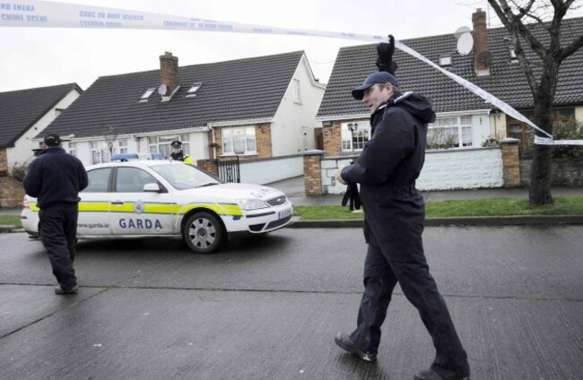 Hartstown shooting. Gardai and members