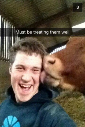 Snapped on the Farm's Photos - Snapped on the Farm | Facebook