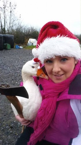 Finalists in our Selfie on the farm... - Official Irish Farmers Journal | Facebook
