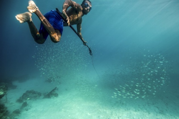 traditionally-hunter-gatherers-the-bajau-have-provided-for-themselves-primarily-by-spearfishing-they-are-highly-skilled-free-divers-swimming-to-depths-up-to-100-feet-to-hunt-for-grouper-pearls-and-s