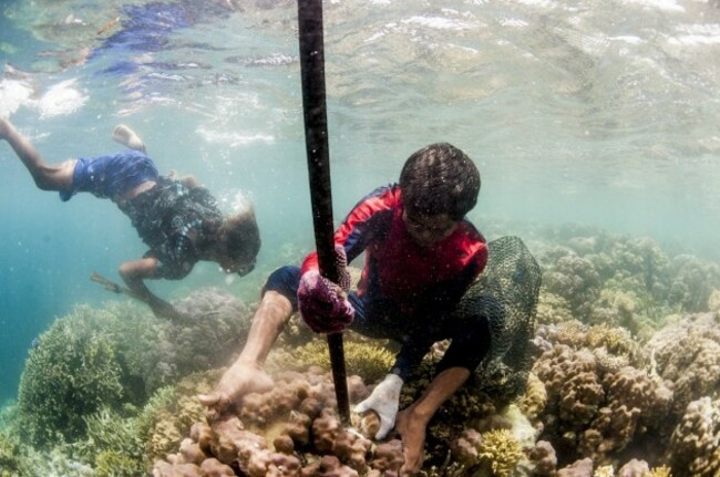 bajau-make-a-living-by-selling-the-grouper-and-napoleon-wrasse-fish-to-hong-kong-fishing-companies