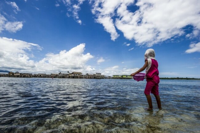 the-bajaus-destructive-fishing-techniques-began-when-soldiers-during-world-war-ii-introduced-them-to-dynamite-fishing-since-its-introduction-the-bajau-have-had-a-destructive-relationship-with-the-ha