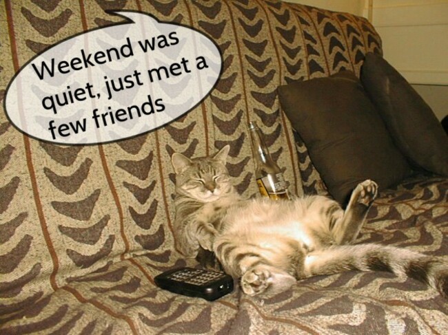 weekendcat