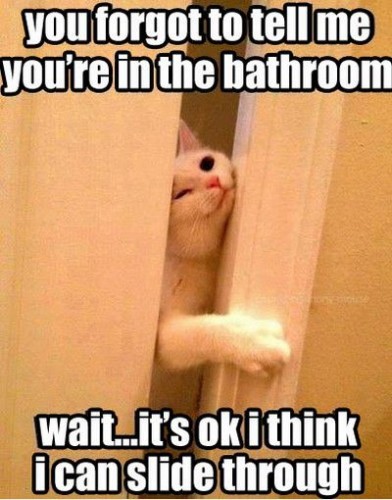 Funniest_Memes_you-forgot-to-tell-me-you-re-in-the-bathroom_8548